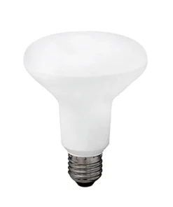 Alternative view of 983589