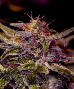 Alternative view of Z valley positronics